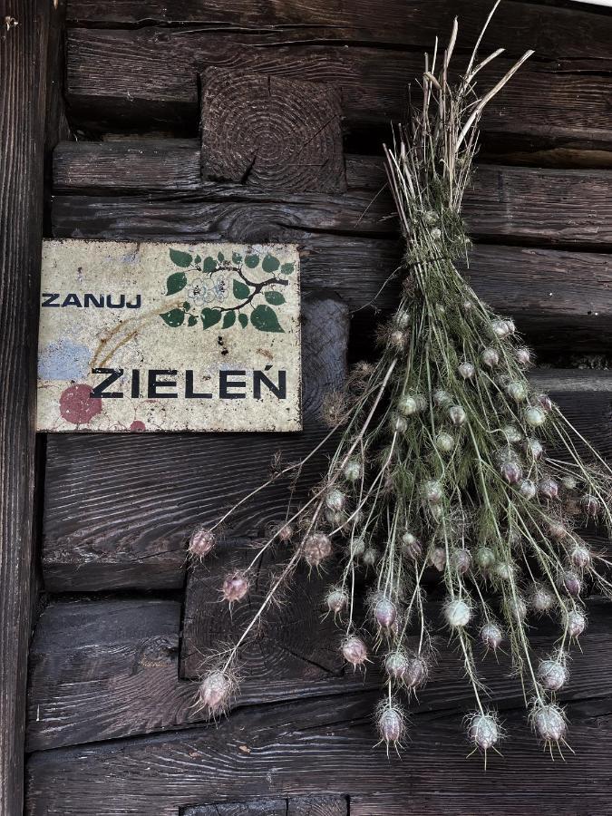 Malinowa Сasa de vacaciones Jankowice (Chrzanow)