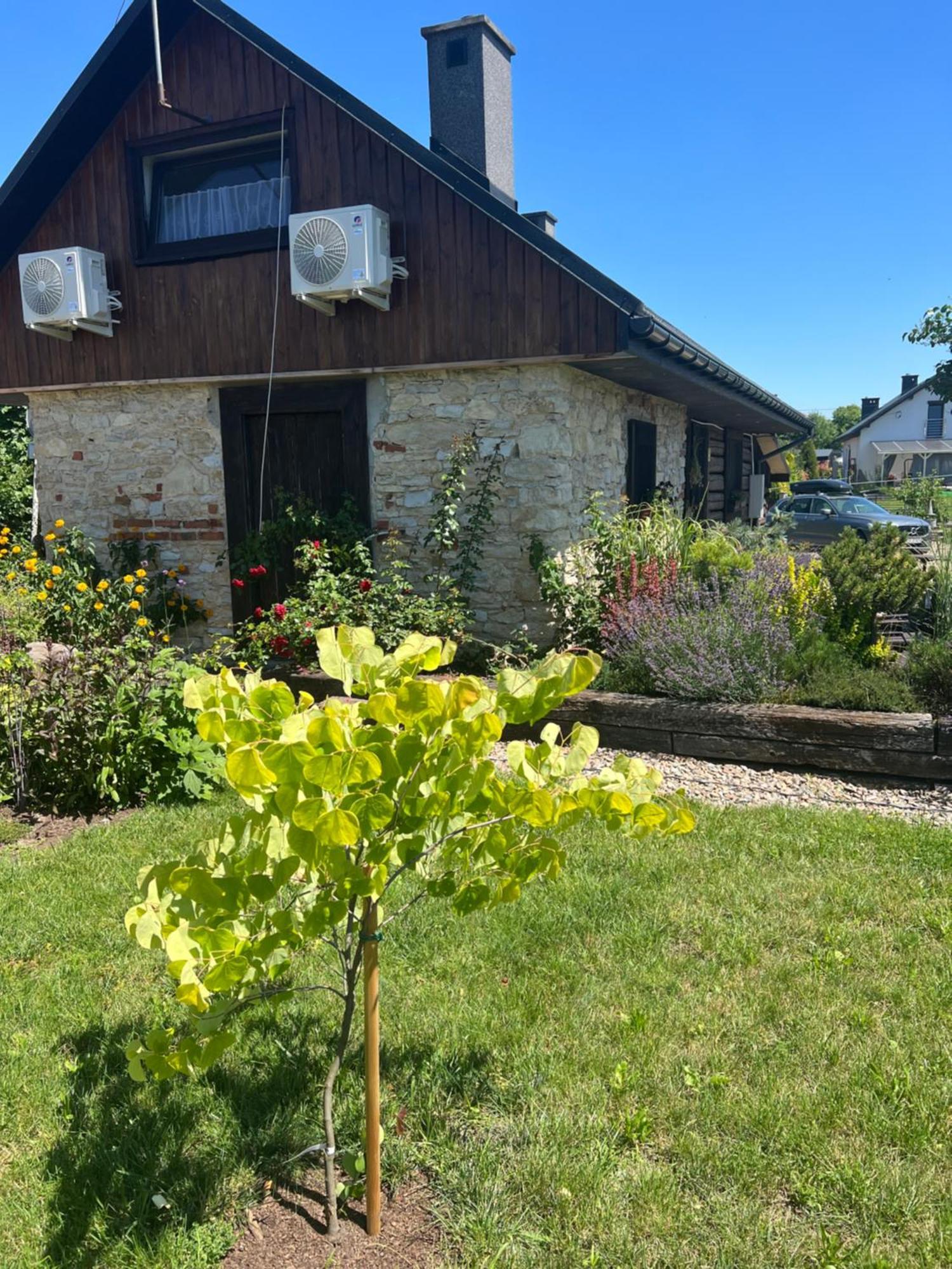 Ferienhaus Malinowa *