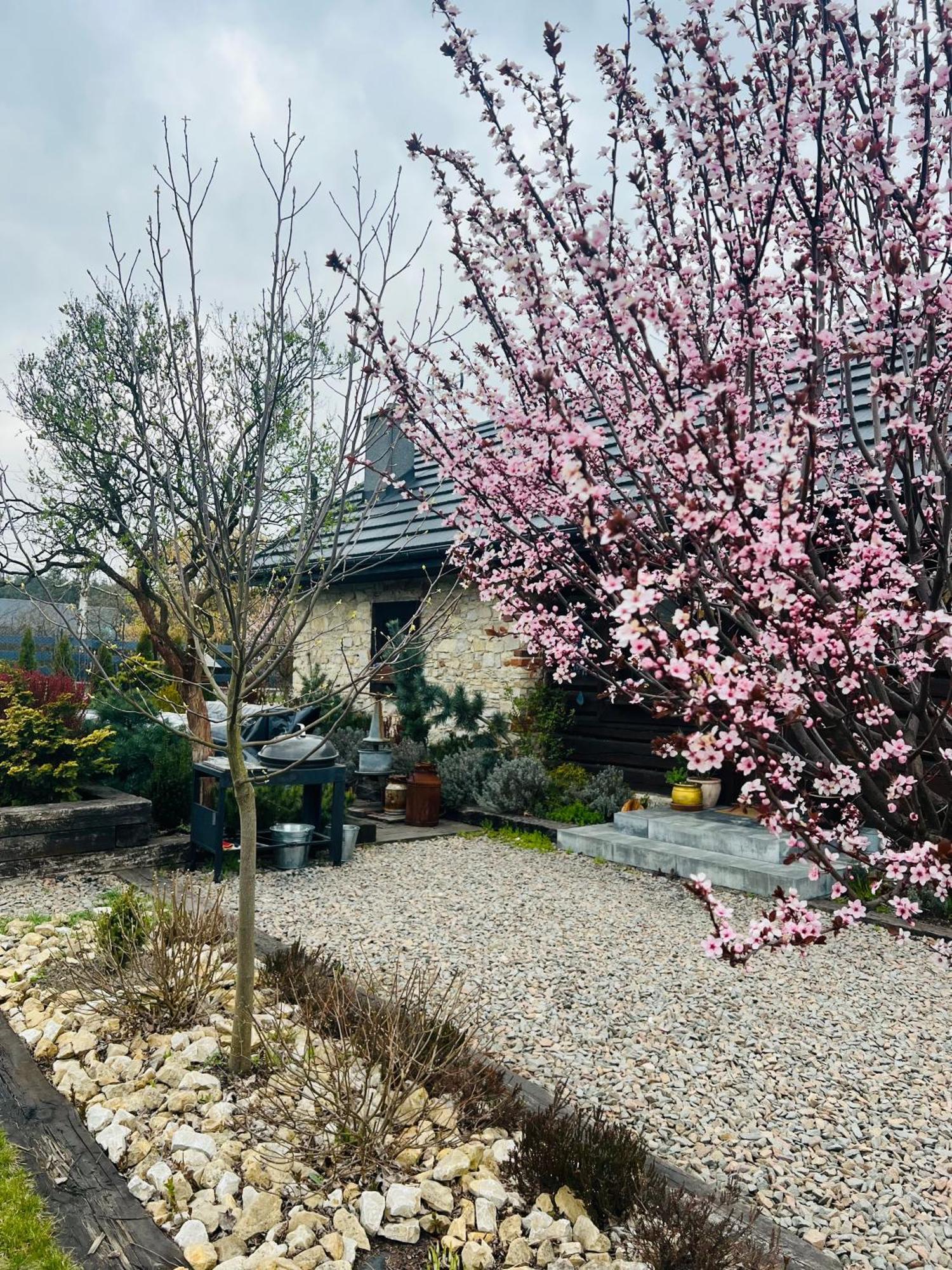 Malinowa Ferienhaus